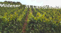 Weinberg M&uuml;dener St. Castorh&ouml;hle